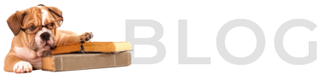blog