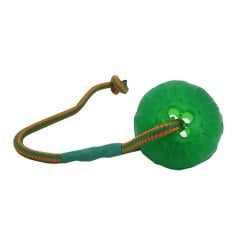 Swing & Fling Chew Ball