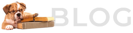blog